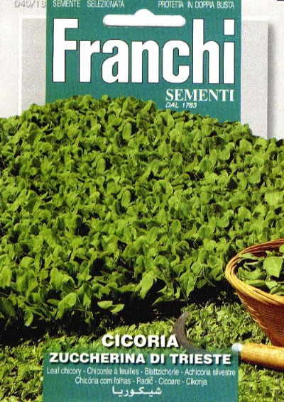 Chicory Zuccherina Di Trieste (Cichorium) 7200 seeds